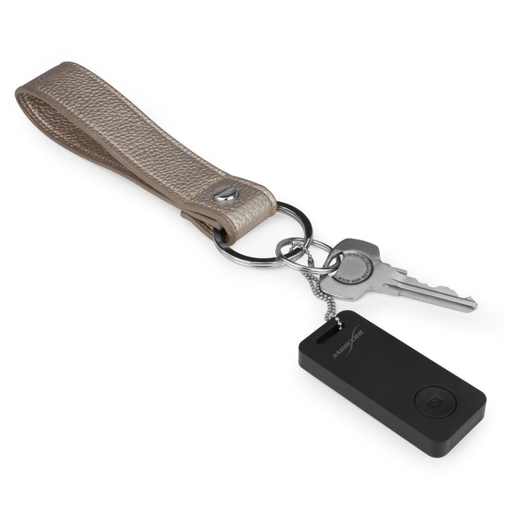 EasySnap Remote - Blackberry Torch 9810 Audio and Music