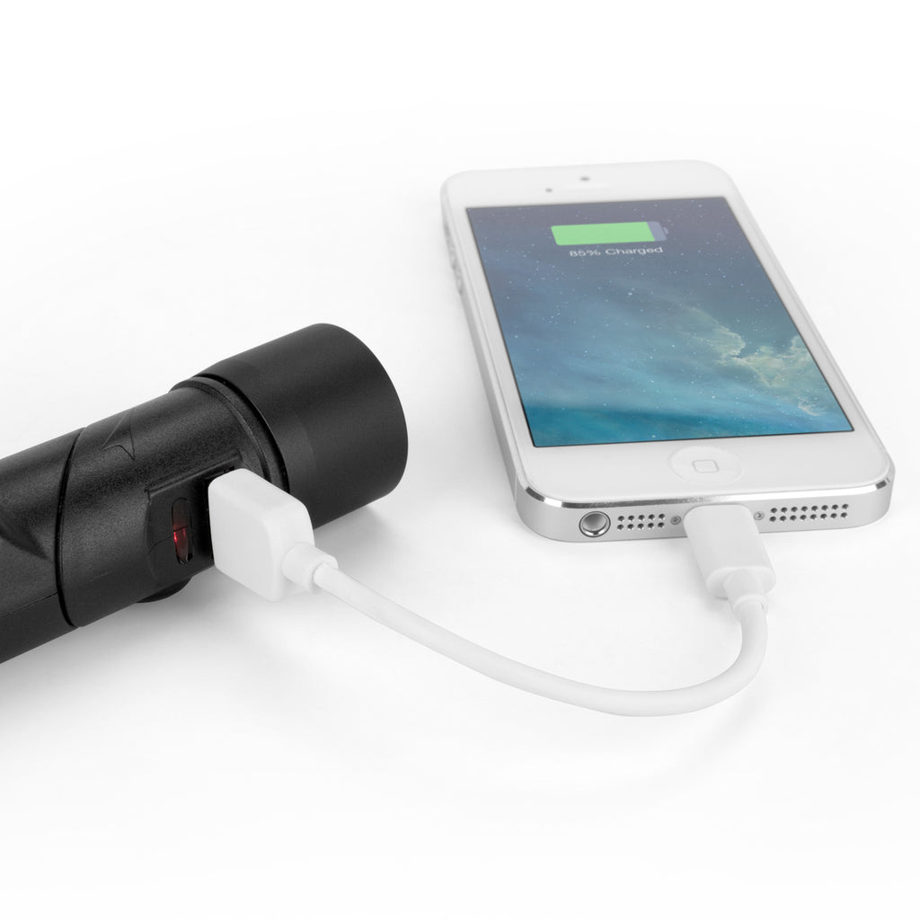 Rejuva Car Charger - Apple iPhone 4S Battery